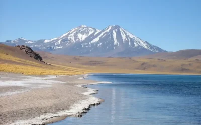 BOLIVIE – Déserts des Andes Centrales